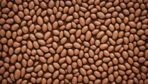 Bild som illustrerar etisk proteinproduktion med hållbarhetsfokus och omsorg om miljö och djur.
